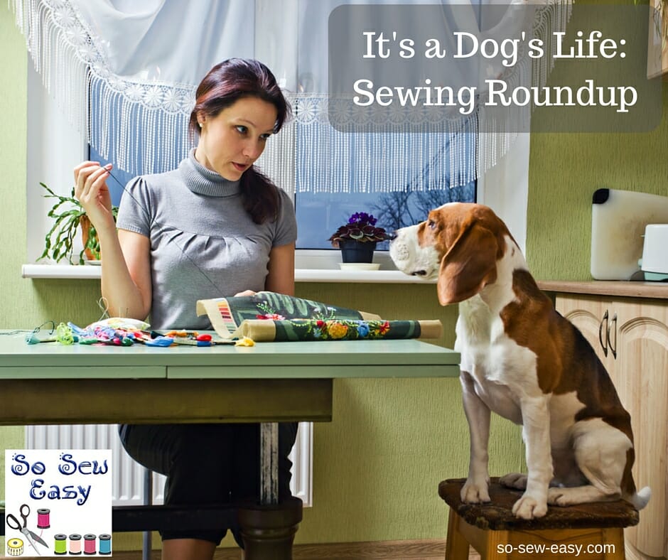 Sewing for your Dog