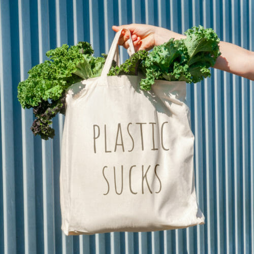 reusable shopping bag pattern
