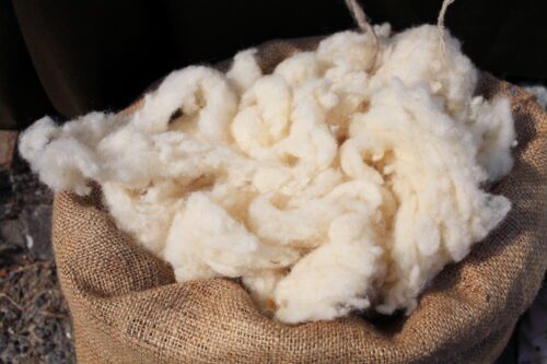 history of wool