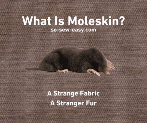 what is moleskin